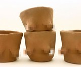 Boob Pots (NSFW)