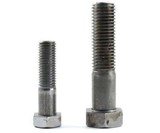 The Spy Bolt