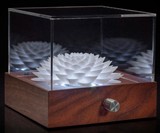 Novatrope Strobing Mood Lights