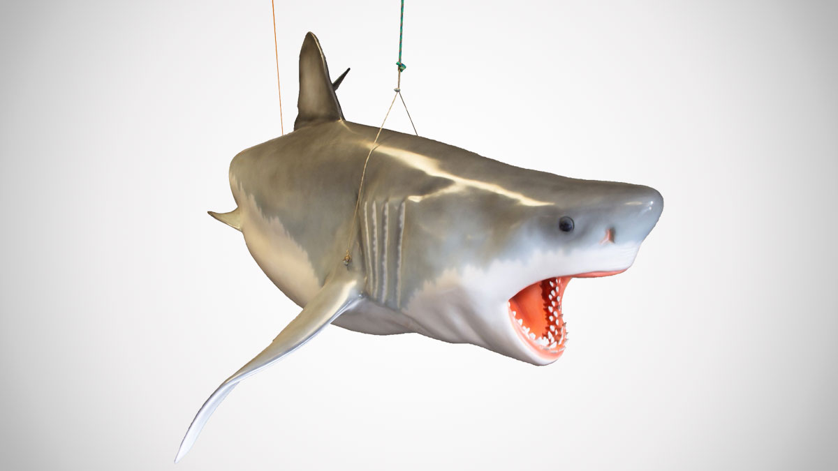 Life Size Jaws Sculpture Life Size Jaws Sculpture