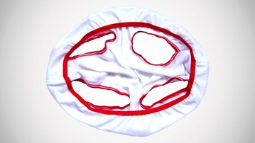 Fundies - Underwear Built for Two