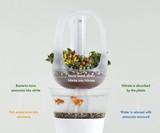 EVA Smart Aquaponics Furniture