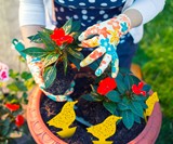 Fruit Fly & Fungus Gnat Trap for Plants