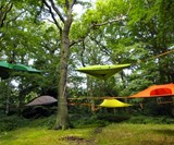 Tentsile Stingray Tree Tent