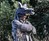 Wolf Coat Wolf Coat