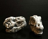Whiskey Bones - Hand Carved Granite T-Rex Skulls