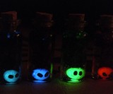 Zelda Poe Soul in a Bottle Necklace