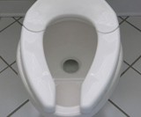 One Size Fits All Toilet Seat