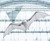 Festo BionicFlyingFox