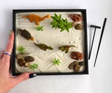 Dinosaur Zen Garden