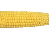 X-Men Wolverine Corn Cob Holders