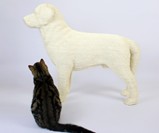 Dog Cat Scratching Post