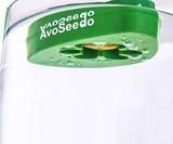 AvoSeedo Bowl - Grow an Avocado Tree