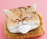 Kleenex-Munching Cat Tissue Box Cover