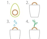 The Avocado Incubator