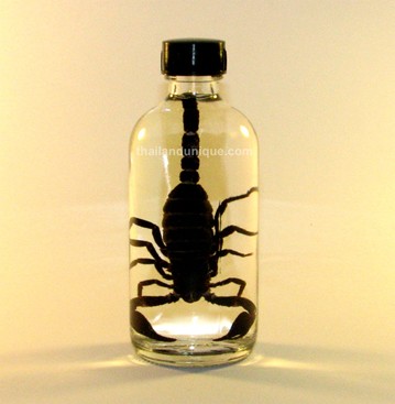 Banana Flavored Scorpion Vodka Banana Flavored Scorpion Vodka