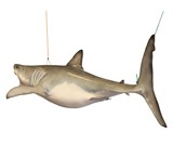 Life Size Jaws Sculpture