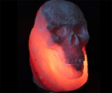 Himalayan Salt Skull Lamp