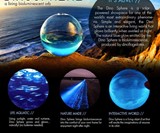 Dino Living Marine Plankton Sphere