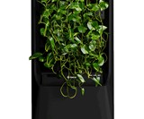 Respira Smart Garden - Hydroponic Plant Air Purifier