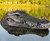 Remote Control Crocodile Head Remote Control Crocodile Head