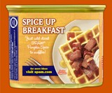 Pumpkin Spice SPAM