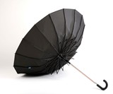 Kisha Smart Umbrella