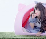 Cat House for Humans