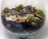 Breaking Bad Terrarium