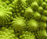 Breaking Physics Cauliflower