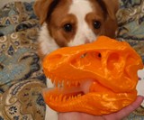 T-Rex Tape Dispenser