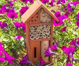 Ladybug, Bee & Butterfly House