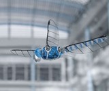 BionicOpter Advanced RC Dragonfly