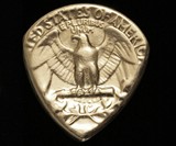 Quarter Guitar Pick