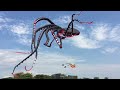 Octopus Kite