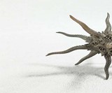 Kraken D20 Die