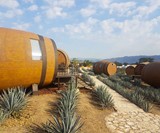 Tequila Barrel Hotel on Jalisco Agave Farm