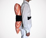 Sushi Costume