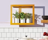 Modern Sprout Growframes - Wall-Mounted Grow Lights
