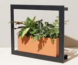 Modern Sprout Growframes - Wall-Mounted Grow Lights