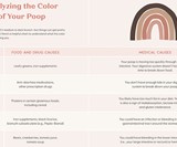 Good Sh*t: Holistic Guide to the Best Poop of Your Life