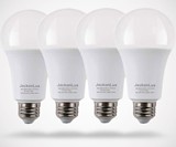 Rechargeable Emergency Light Bulbs