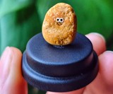 The Pet Nugget