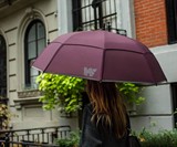 The Weatherman Umbrella for 55MPH Winds