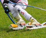 Grasski Grass Skis