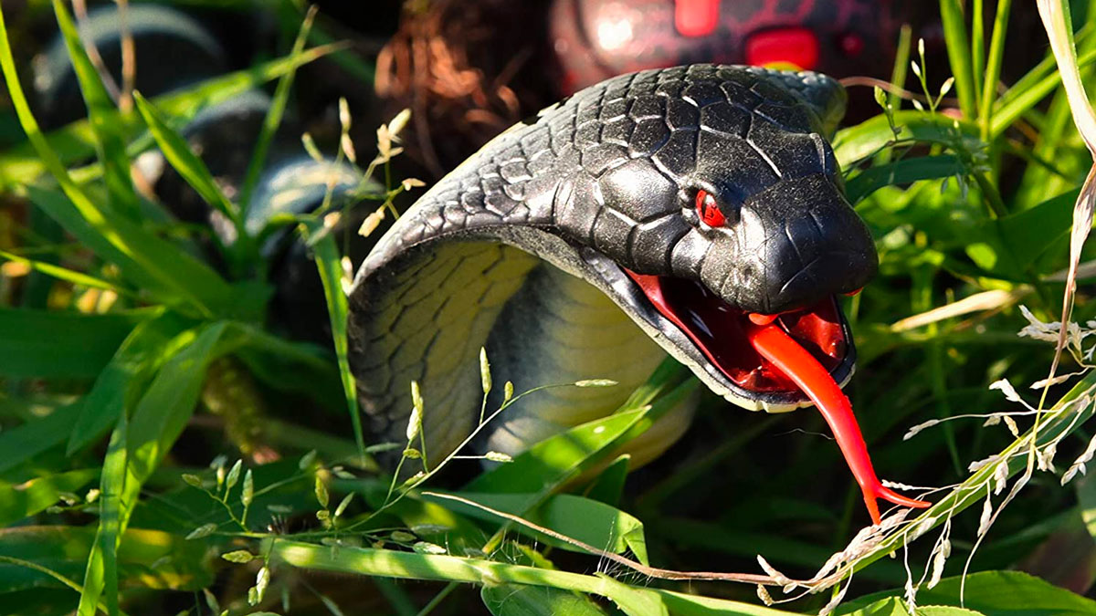 Remote Control Hissing Cobra Remote Control Hissing Cobra