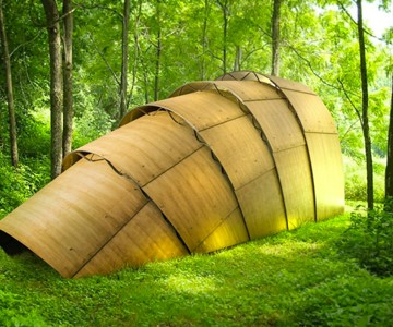 Armadillo Tea Canopy Armadillo Tea Canopy