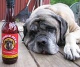 Bowser Beer for Dogs