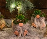 Gnome Planter