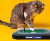 NFL Football Field Cat Scratcher Toy